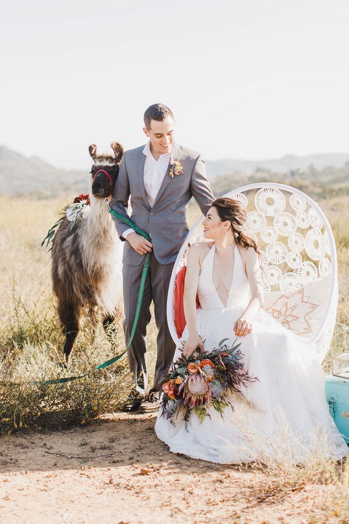 Desert wedding portrait with couple and llama